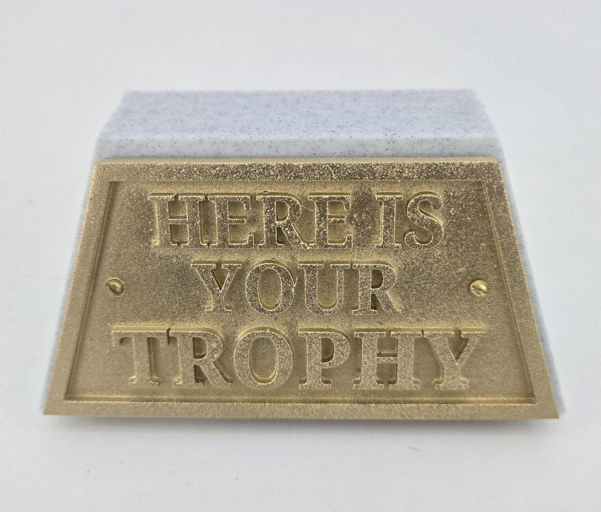 Funny Trophy - Sarcastic Desk Award Gag Gift, 15 Sayings or Custom - HERE IS YOUR TROPHY